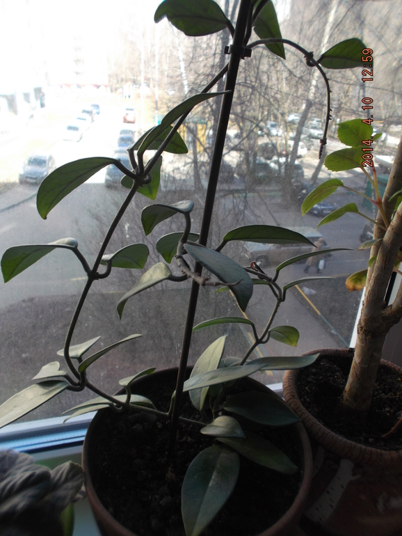 И я своих покажу)