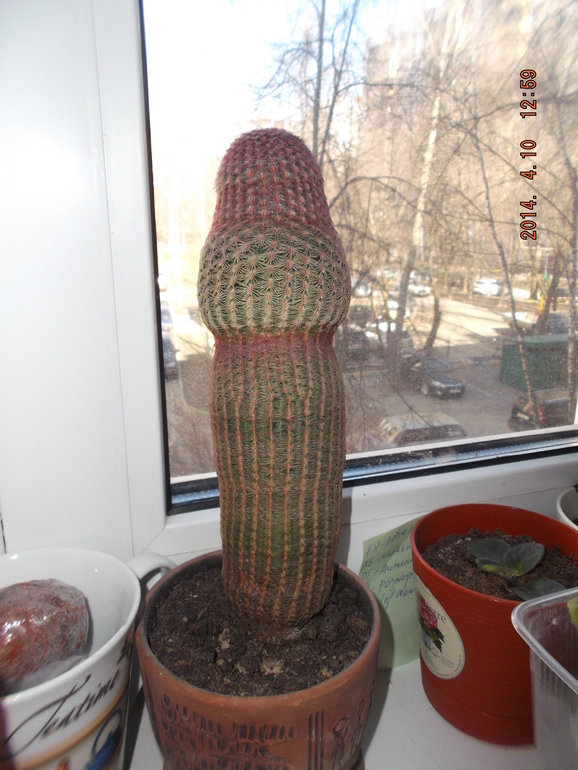 И я своих покажу)