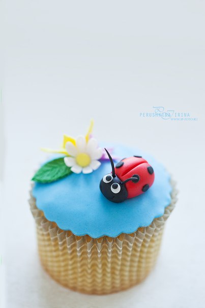 маффины для замечательного фотографа