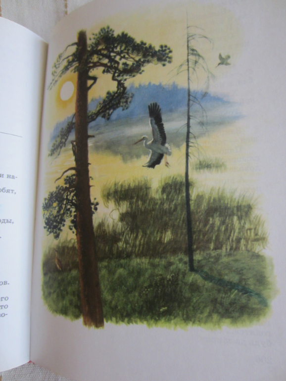 Покажу несколько замечательных книжек (букинистика и не совсем))