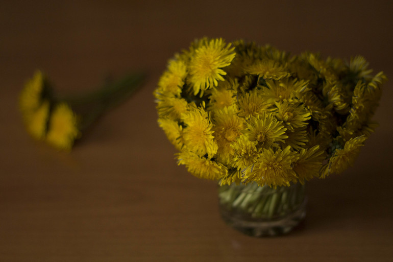 Д/З - Эпизод второй. Композиция. Правило третей.