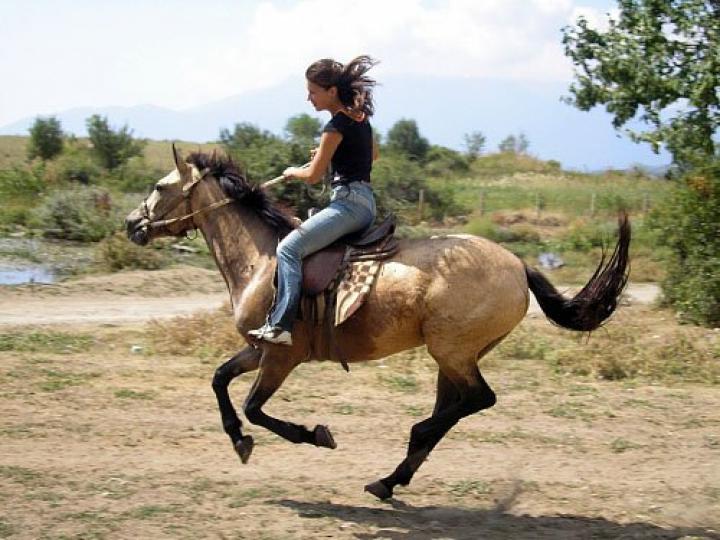 Нужна помощь в оплате транспорта