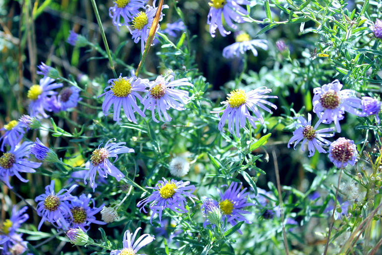 Контрольное задание № 6.