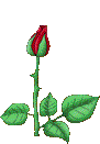 7ec9107f9eb68487c4e29de2bcc85378.gif