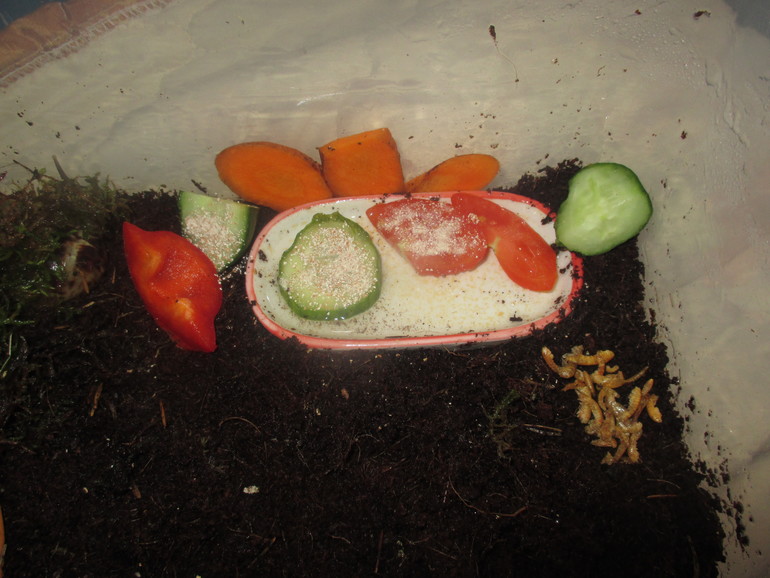 хочу поделится ,мои любимки