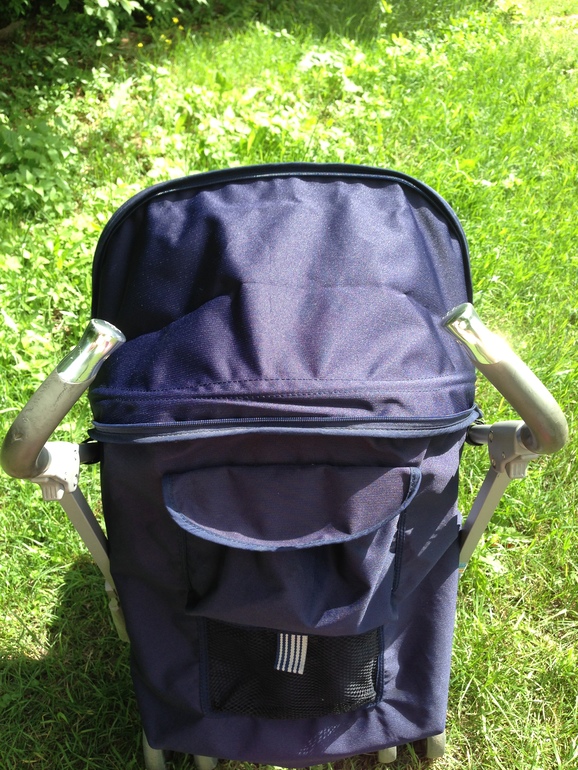 UPPAbaby G-luxe, Joovy Groove и Maclaren xlr.