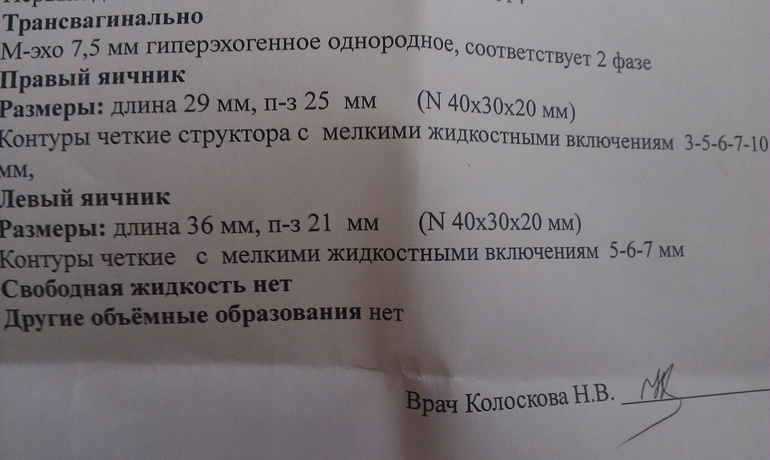 Фолликулометрия №1 - нужны подсказки бывалых