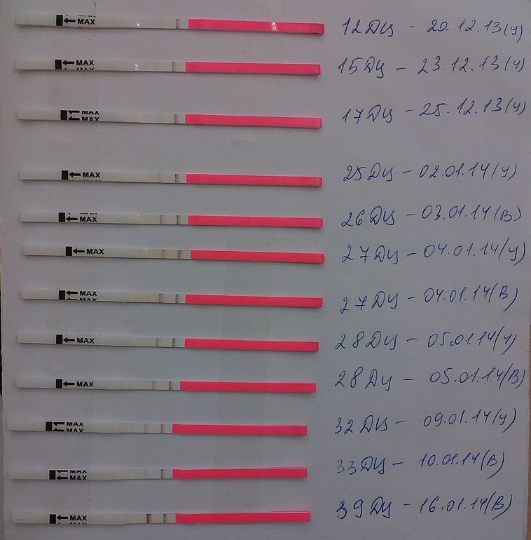 Суперположительный тест на О с Ebay