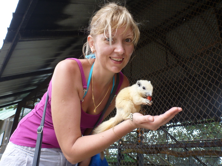 Парадайз парк