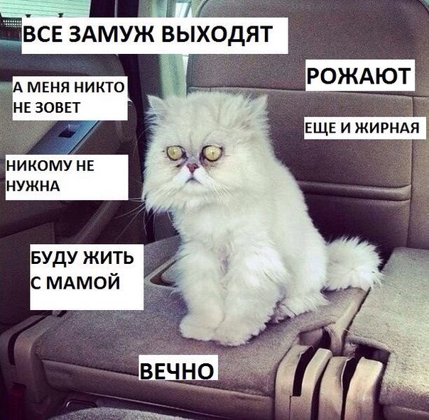Смешно ))