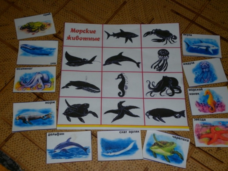 Океаны,моря,реки,озёра,болота...))