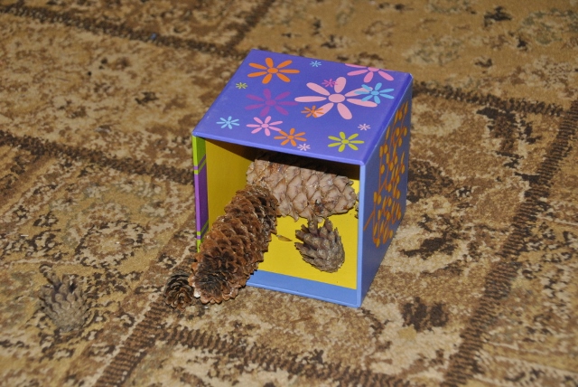 Тематическая неделя под кодовым названием «Мишка косолапый по лесу идет... шишки собирает, песенки поет...»)) День первый. Шишка.