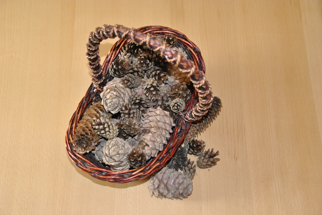 Тематическая неделя под кодовым названием «Мишка косолапый по лесу идет... шишки собирает, песенки поет...»)) День первый. Шишка.