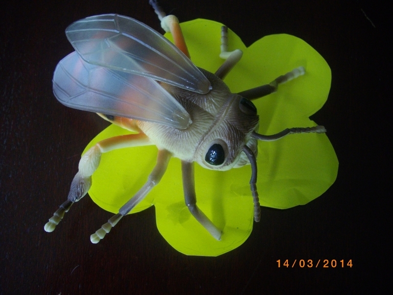 55cd2c924695901a6dad53d7422d0c4b.jpg