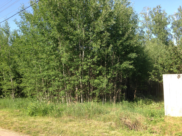 Продам участок 15 сот. с возможностью прописки (70 км от МКАД)