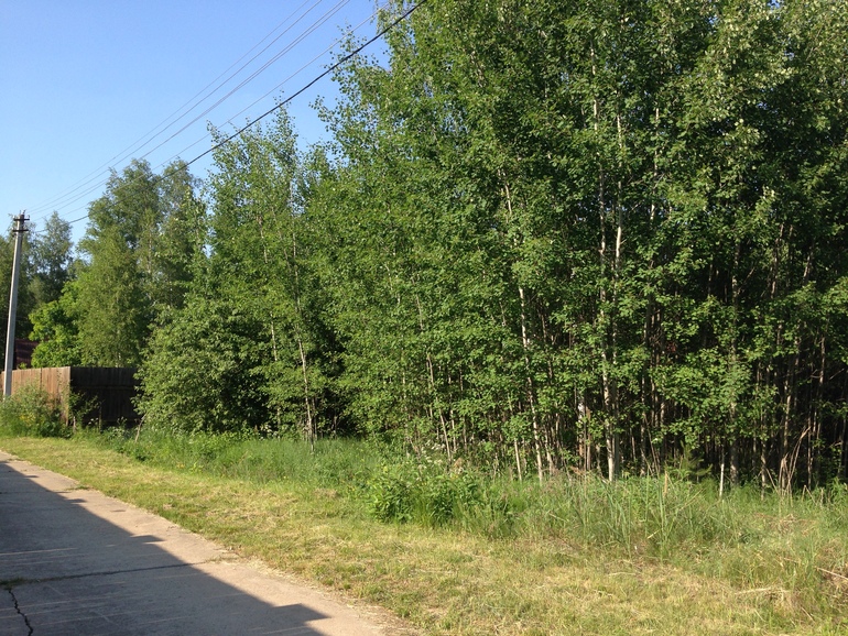 Продам участок 15 сот. с возможностью прописки (70 км от МКАД)