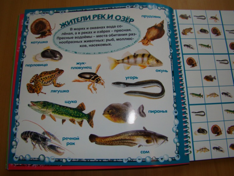 САФАРИ СУДОКУ ДЛЯ ДЕТЕЙ.