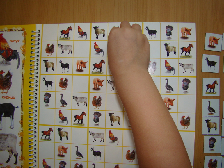 САФАРИ СУДОКУ ДЛЯ ДЕТЕЙ.