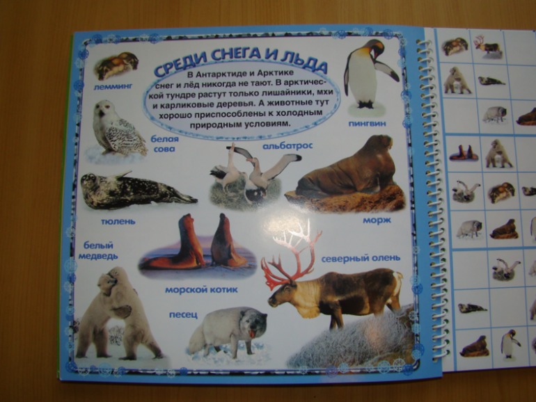 САФАРИ СУДОКУ ДЛЯ ДЕТЕЙ.