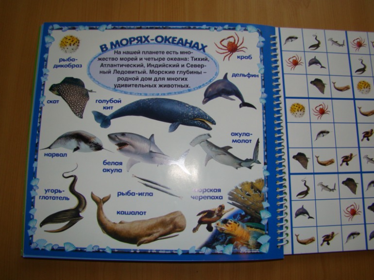 САФАРИ СУДОКУ ДЛЯ ДЕТЕЙ.