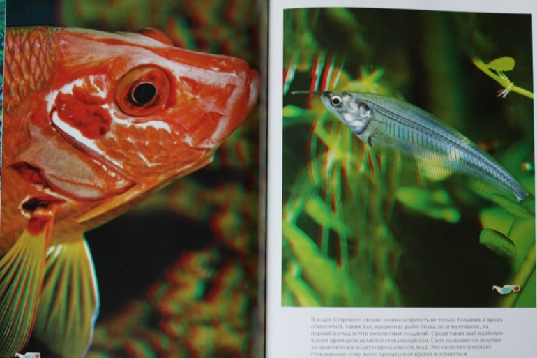 3D книга. Рыбы