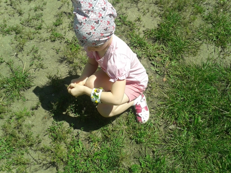 Полевая бижутерия :)