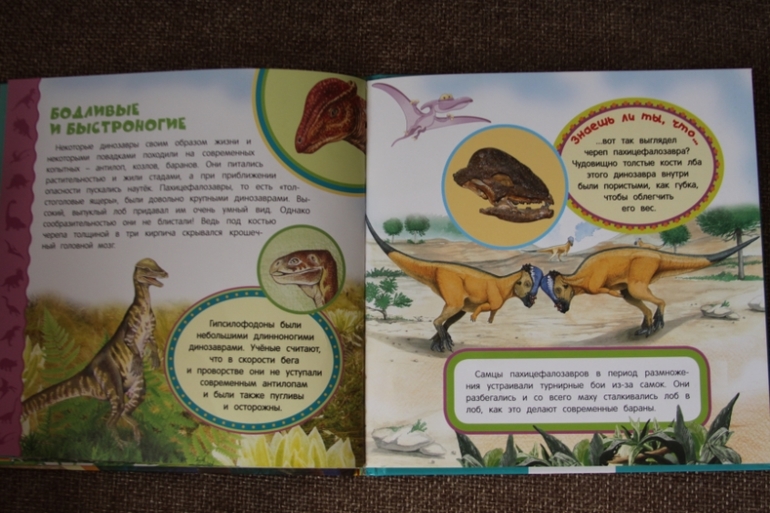 Познакомься, мама...