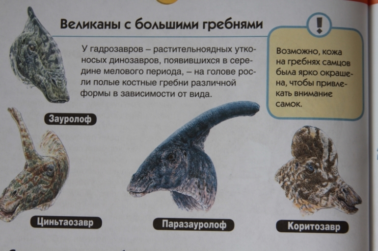 Познакомься, мама...