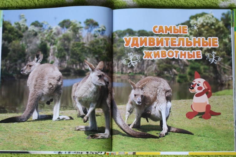 Энциклопедия животных для малышей