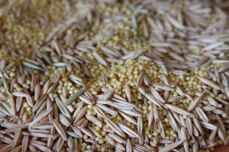 Общественно-полезный труд :)