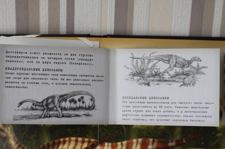 Динозавроведение. Поиски затерянного мира