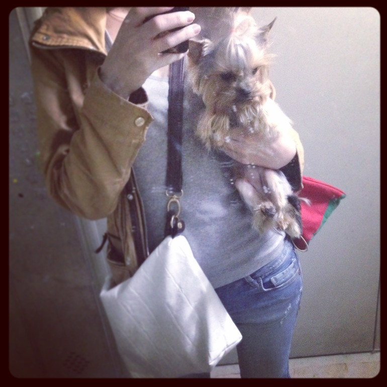 Дачники мои)