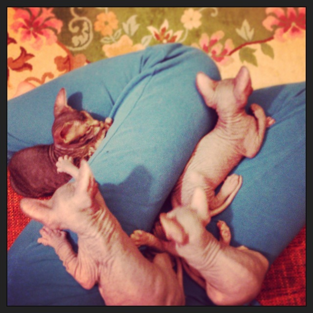 1,5 Мес малышне!!)))