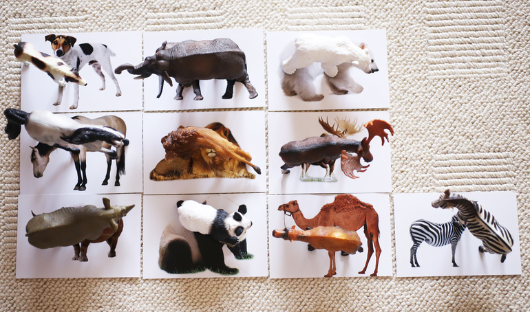 Звериные игры