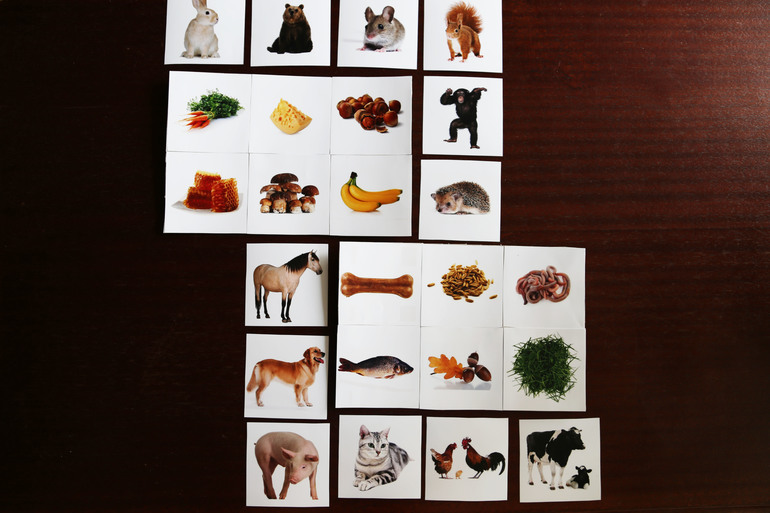 Навстречу природе