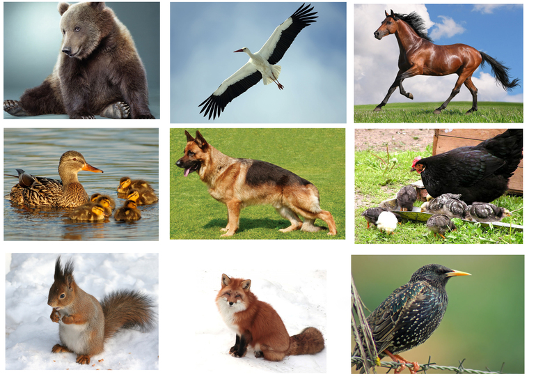 Навстречу природе