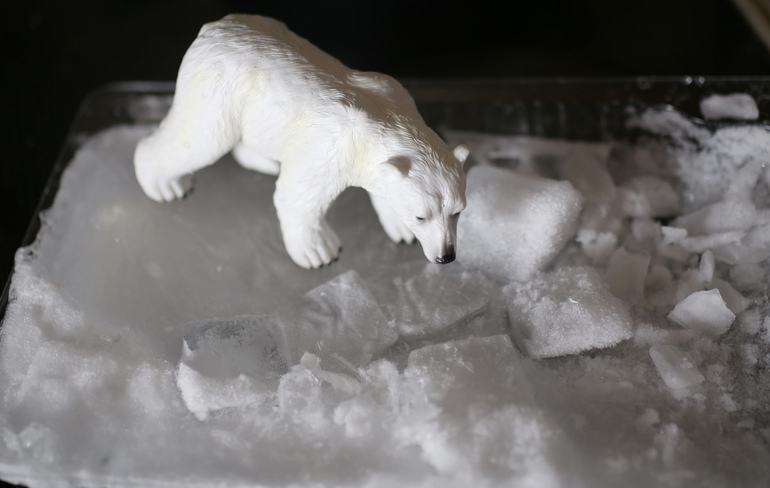 Звериные игры