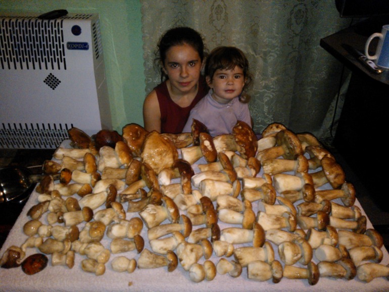Немного нас)))