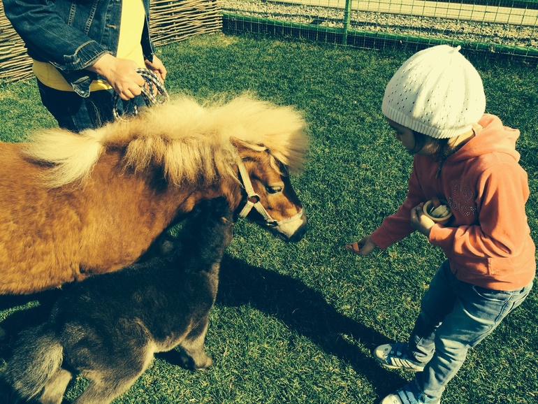 Контактный зоопарк в конном клубе Русь