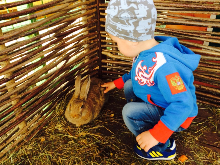 Контактный зоопарк в конном клубе Русь