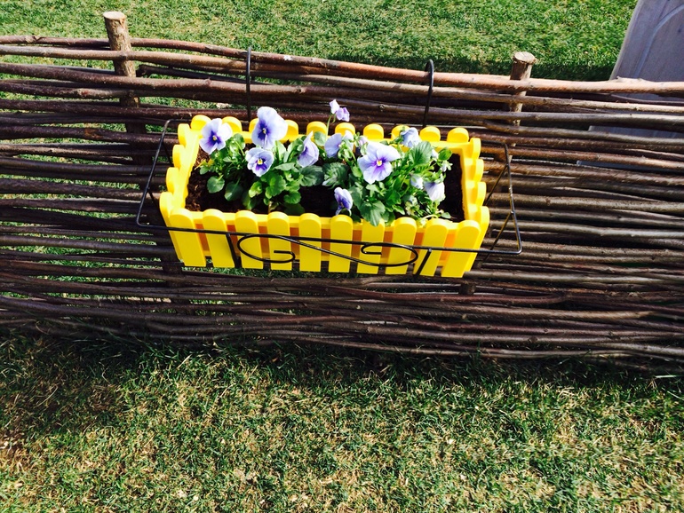 Контактный зоопарк в конном клубе Русь