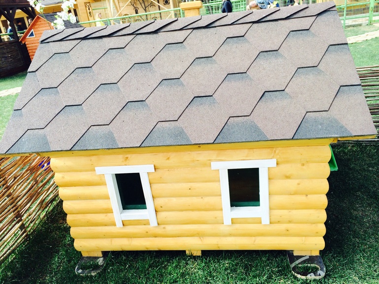 Контактный зоопарк в конном клубе Русь