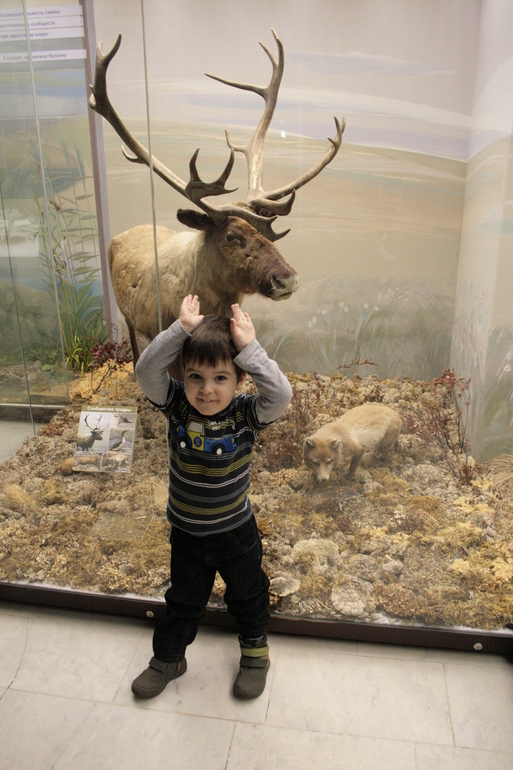 Дарвинский музей