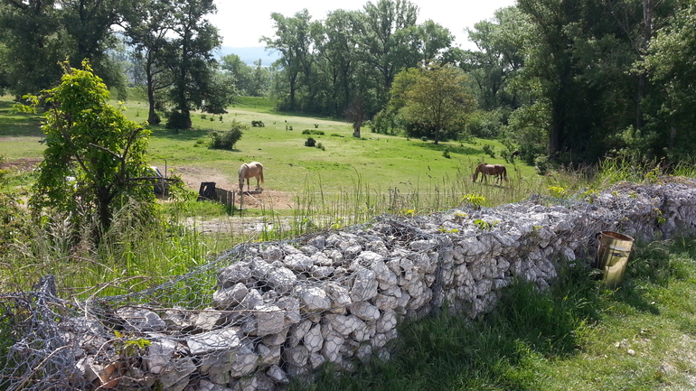 Пиештяны (Словакия). Велосипедные зарисовки.