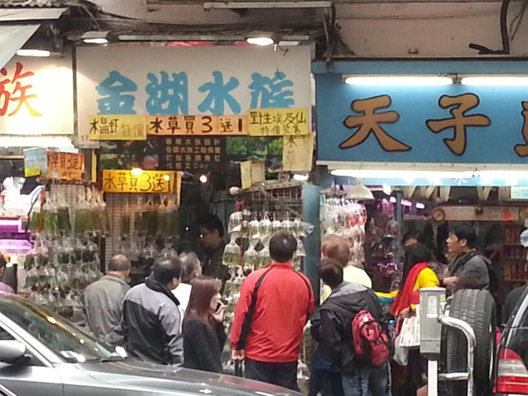 Гонконг с детьми