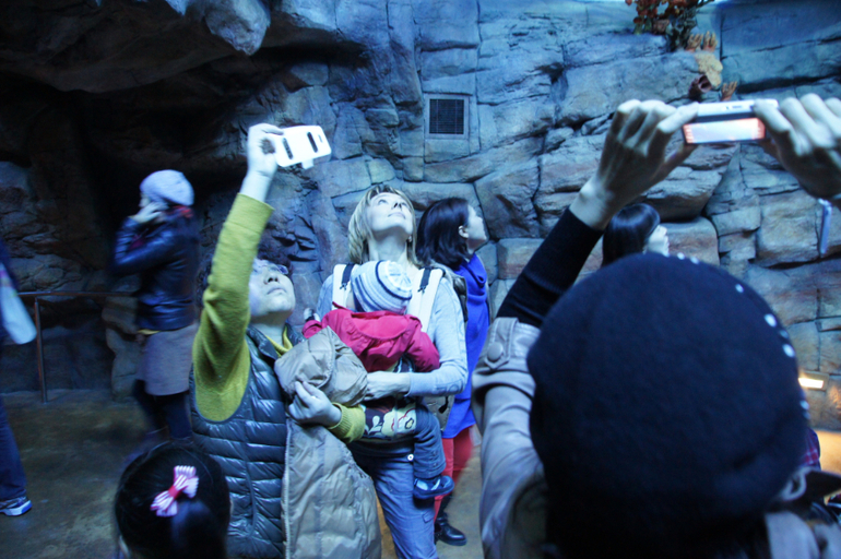 Гонконг с детьми