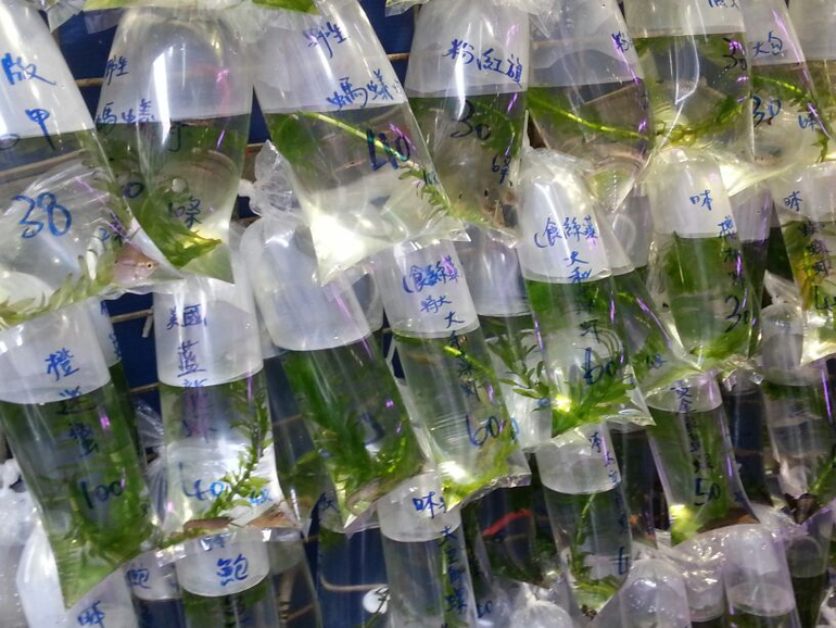 Гонконг с детьми