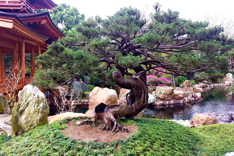 Гонконг с детьми