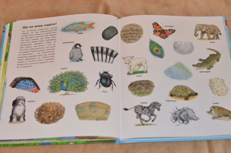 Бюджетные смотрелки от Ранка