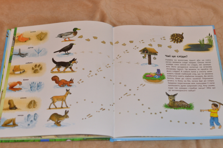 Бюджетные смотрелки от Ранка